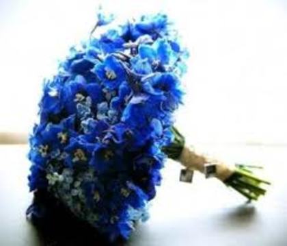 9 - flori albastre