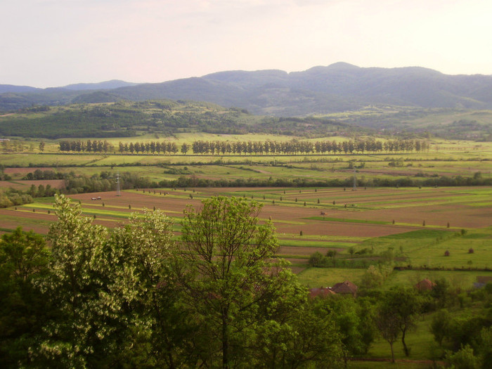 satul ribita vazut de sus 2