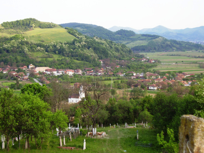 satu ribita vazut de sus 3