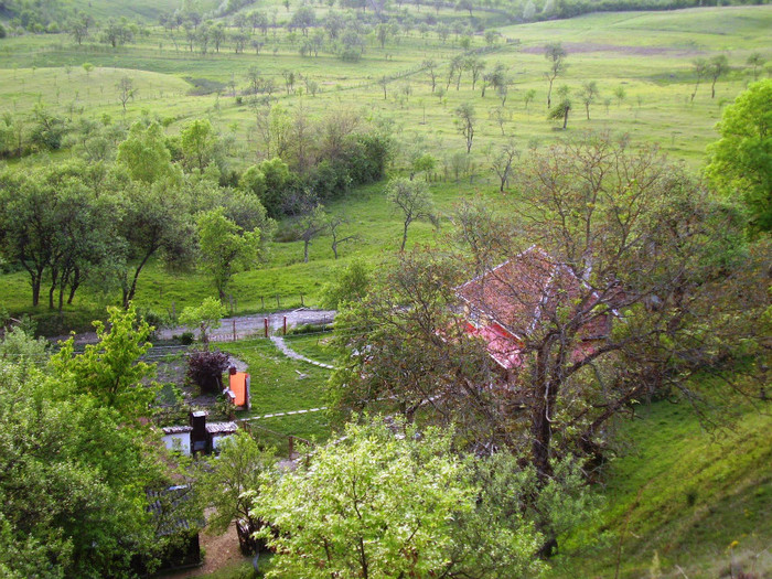 satul ribita vazut de sus 9 - Ribita-satul meu natal