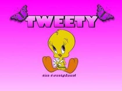 images (41) - Tweety