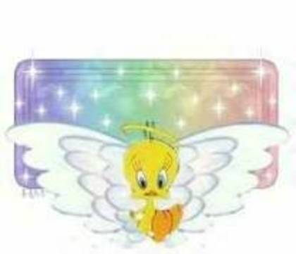 QLCSNBBAAAOFCECNSMQ - Tweety