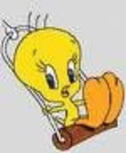 thumb_avatar-10962[1] - Tweety