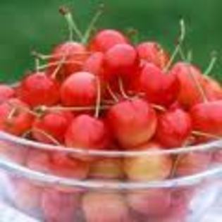 images (15) - poze fructe