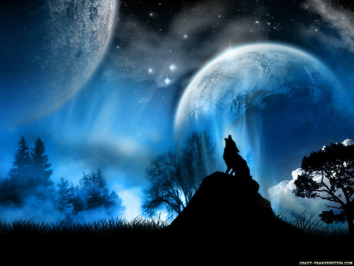 wolf-at-moonlight-wallpaper - Moon