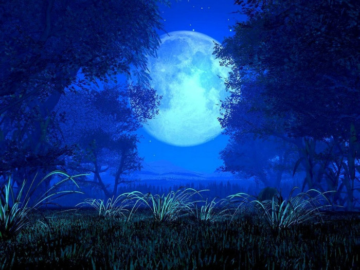 night-fairy-full-moon - Poze pentu desktop