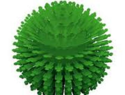 images (35) - green