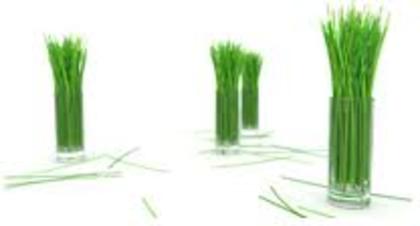 images (41) - green