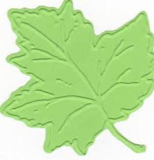 images (43) - green