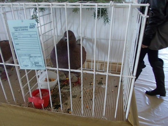 Picture 099