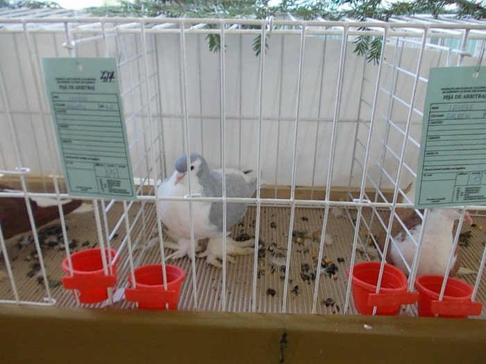Picture 111