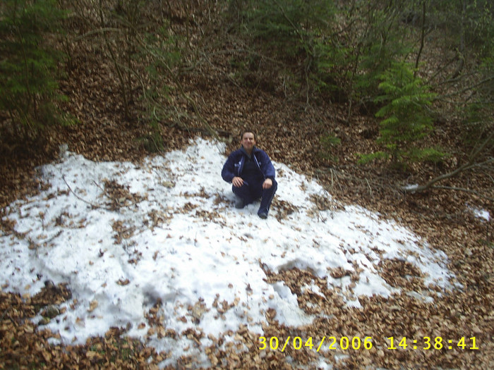 S4010136 - Prin    PRAPASTILE   Zarnestilor Brasov