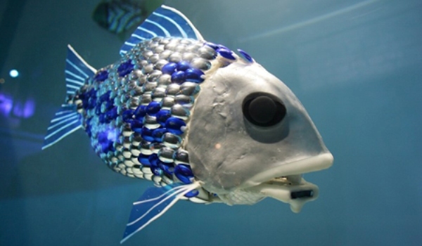 robo-fish - animale maritime