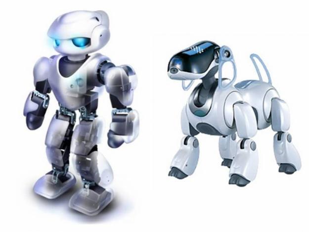 1309260852_221518894_13-Master-Mecatronica-si-Roboti-industriali- - roboti