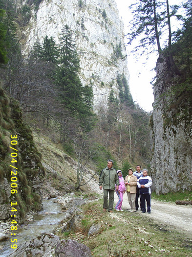 S4010141 - Prin    PRAPASTILE   Zarnestilor Brasov