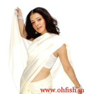 Sulagna-Panigrahi-hot-sexy-saree-photo