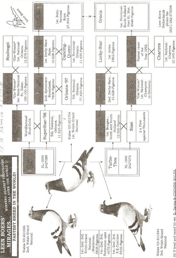 PEDIGRREE LEEN BOERS