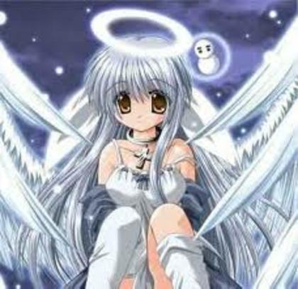 images (21) - CADOU 3000 DE VIZITATORI