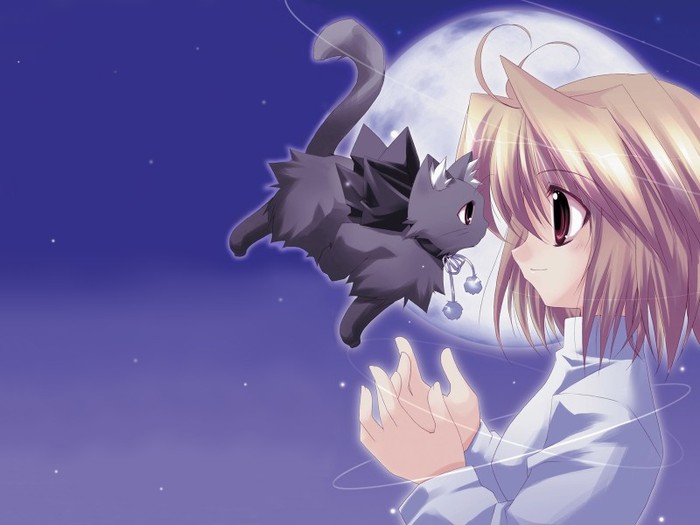 Flying%20Kitty