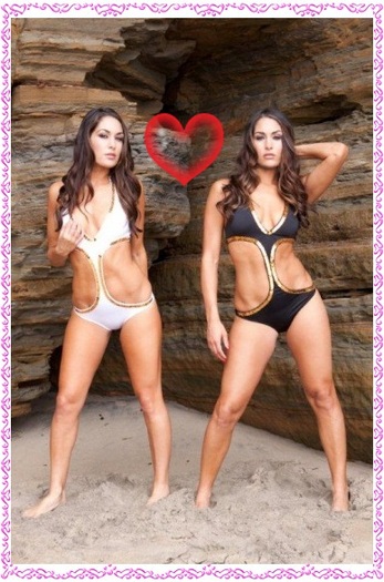 221371 - poze modificate bella twins