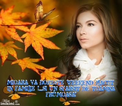 b8affe32f5c0d04da799a4bc8d14c43f - 10  TOAMNA