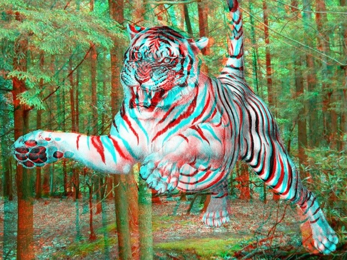 Tiger-3D - 3D