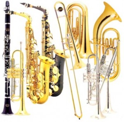 instrumente-muzicale-300x297 - instrumente muzicale