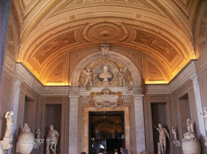 italia 310
