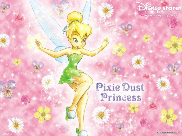 Tinkerbell-Wallpaper-tinkerbell-5445954-1024-768 - clopotica