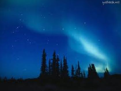 images (25) - Aurora boreala