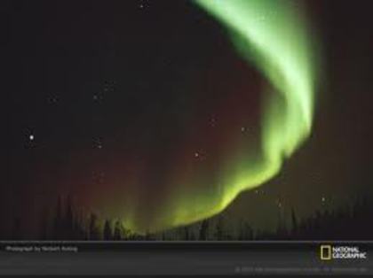 images (49) - Aurora boreala