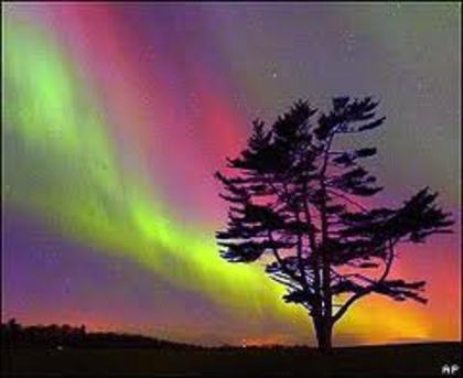 images (51) - Aurora boreala