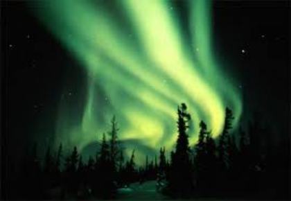 images (52) - Aurora boreala