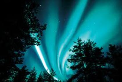 images (58) - Aurora boreala