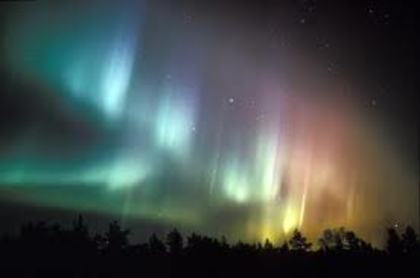 images (70) - Aurora boreala