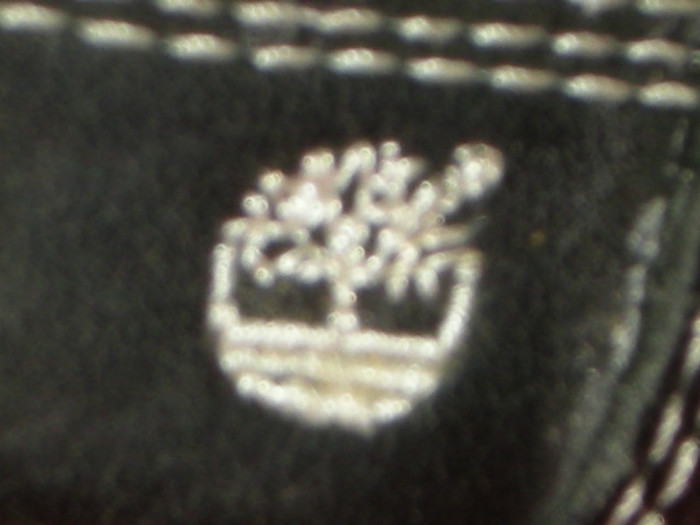 DSCN3594