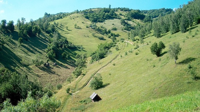 Poteca spre Magurice