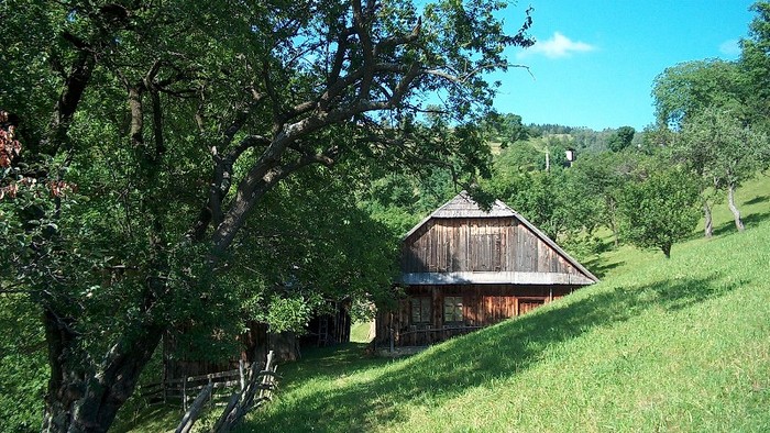 Casa lui varu Cotinchi,din Magurice.acds