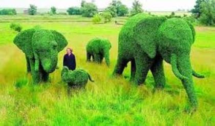 images (16) - green