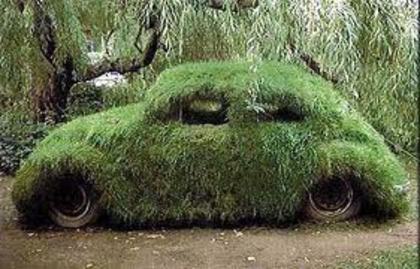 images (18) - green
