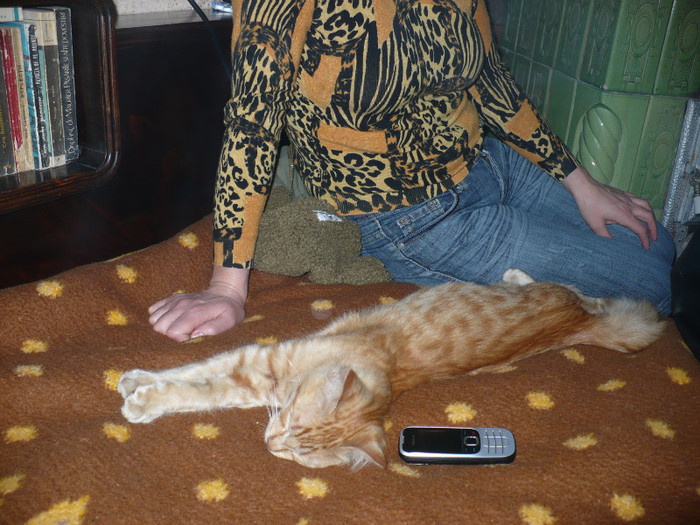 P1050159 - In amintirea lui Portocala - pisicul meu iubit