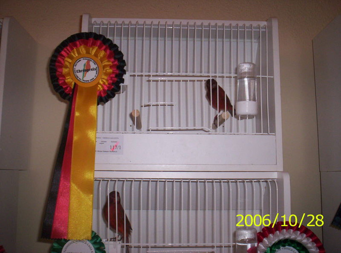 2006_Pannonia_ki_ll_t_s_010; colectia de negru rosu(bronz) si am primt de la arbitri germani si un premiu special de care am fost
