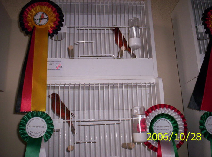 2006_Pannonia_ki_ll_t_s_056; toate categoriile cistigate,locul 1 intre bac
