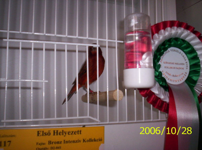 2006_Pannonia_ki_ll_t_s_064; ...negru rosu intenziv
