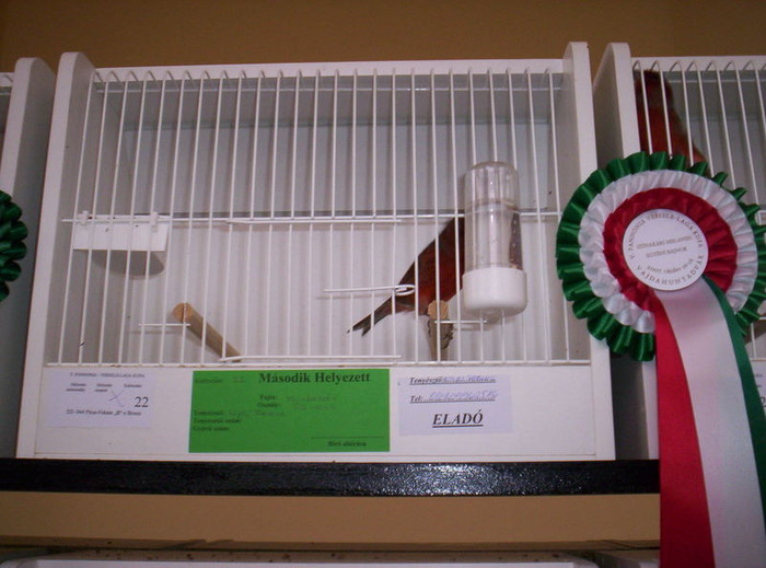 2007_Vajduhunyadv_r_024; si locul 2 la individaul
