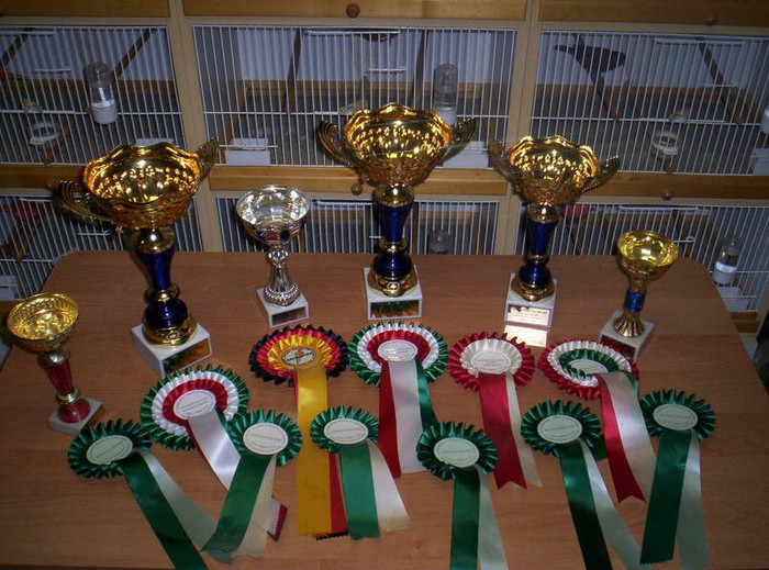 araim_Pannonia_kupa_ut_n_008; cupele si cocarde
