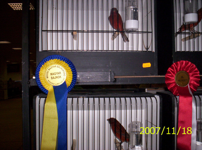 oks_g-Lurdy_h_z_Budapest_4; locul 1 si championul Ungariei si la colectie la negru rosii intenziv
