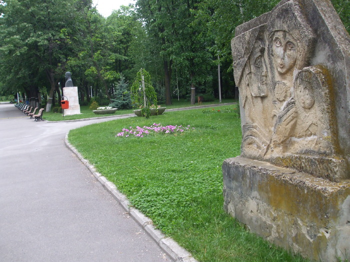 14955801_SYREMGXLH