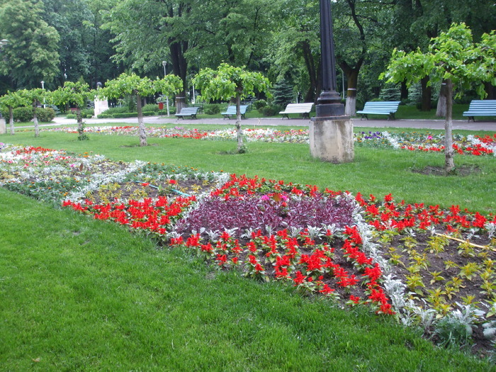 14955901_IEKQILKUC