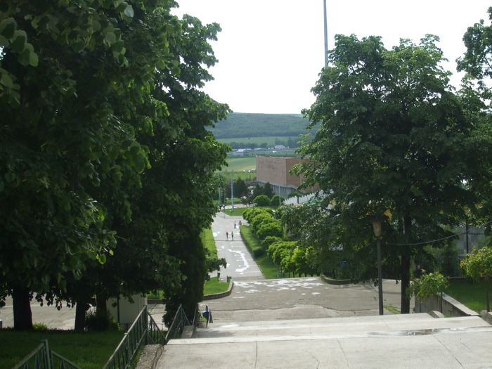 14987720_ZBMGWONYL - Istoria orasului natal